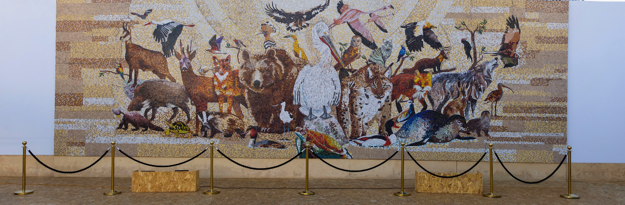Albania is Biodiversity mosaic by Kleidi Eski