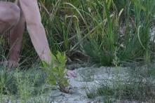 Still from ACTUS, for Vjosa