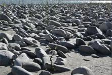 Still from ACTUS, for Vjosa