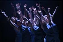 Still from ACTUS, for Vjosa