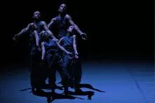 Still from ACTUS, for Vjosa