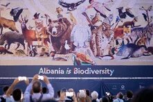 Unveiling the "Albania is Biodiversity" mosaic, Tirana, Oct. 2023