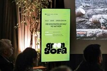 Green Sofa #4