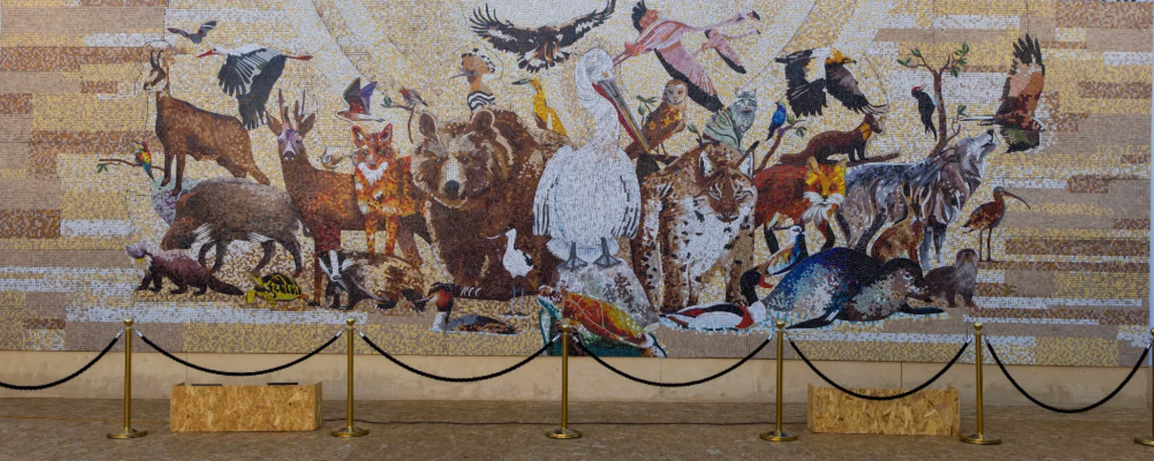 Albania is Biodiversity mosaic by Kleidi Eski
