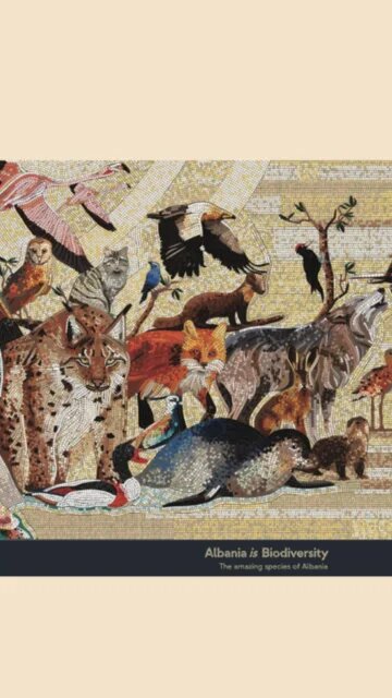 Visual for "Albania is Biodiversity" Official Catalogue