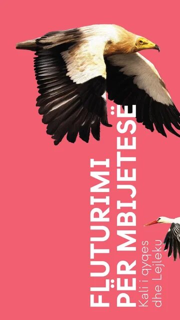 Flight for Survival Leaflet Cover 