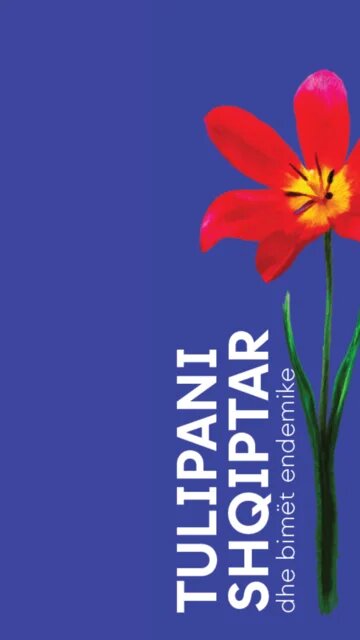 Albanian Tulip Leaflet Cover AL