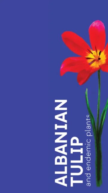 Albanian Tulip Leaflet Cover EN