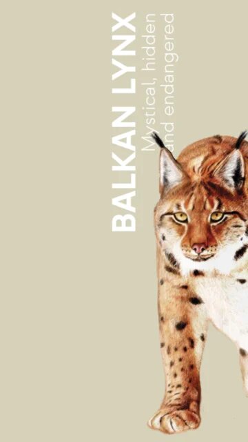 Balkan Lynx Leaflet Cover EN