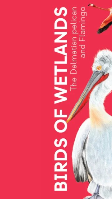 Birds of Wetlands Leaflet Cover EN