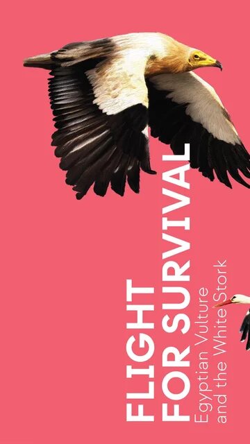 Flight for Survival Leaflet Cover EN