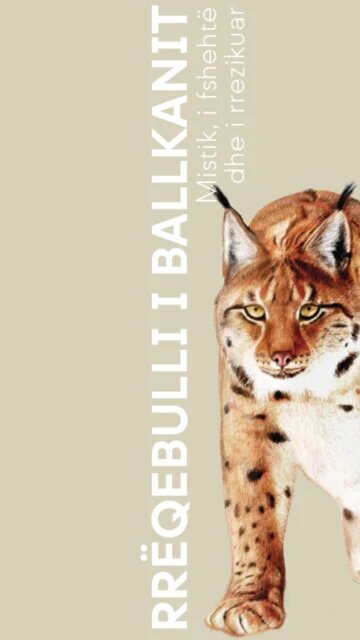 Balkan Lynx Leaflet Cover AL