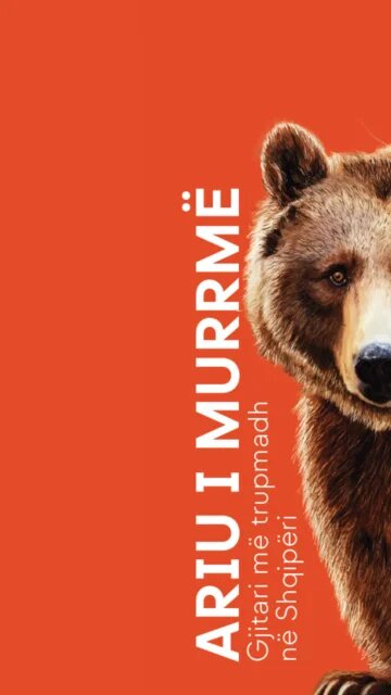 Bear Leaflet Cover AL