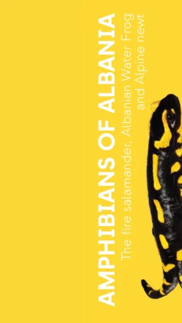 Amphibians Leaflet Cover_EN