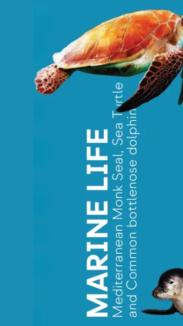 Marine Life Leaflet Cover EN