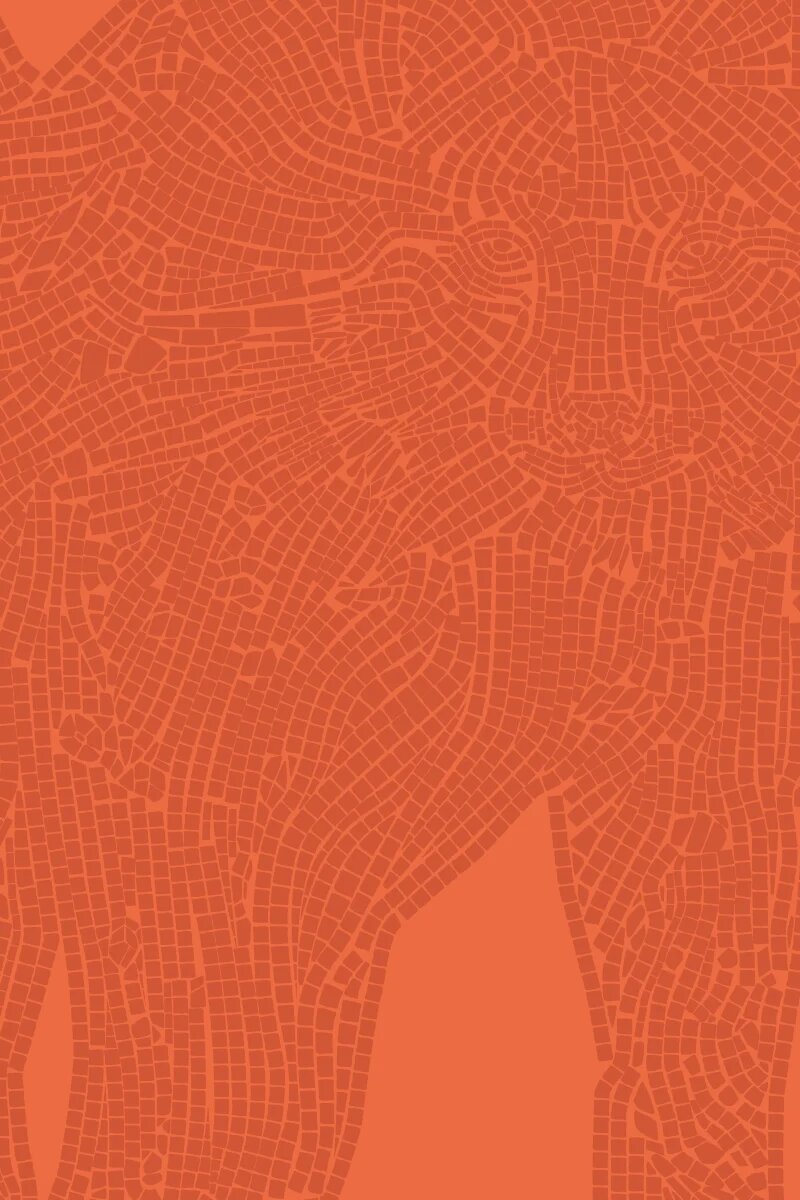 AiB Importance for Europe Cover