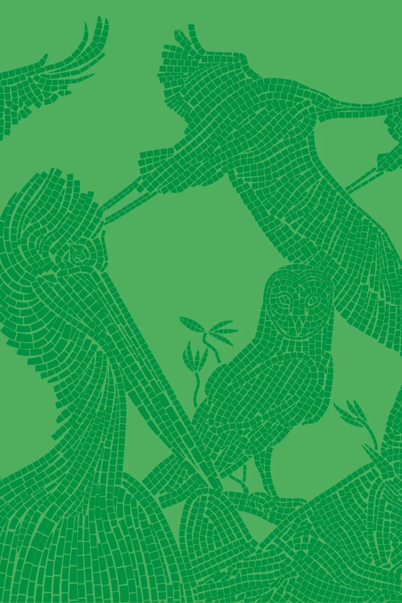 AiB Rich Biodiversity Cover