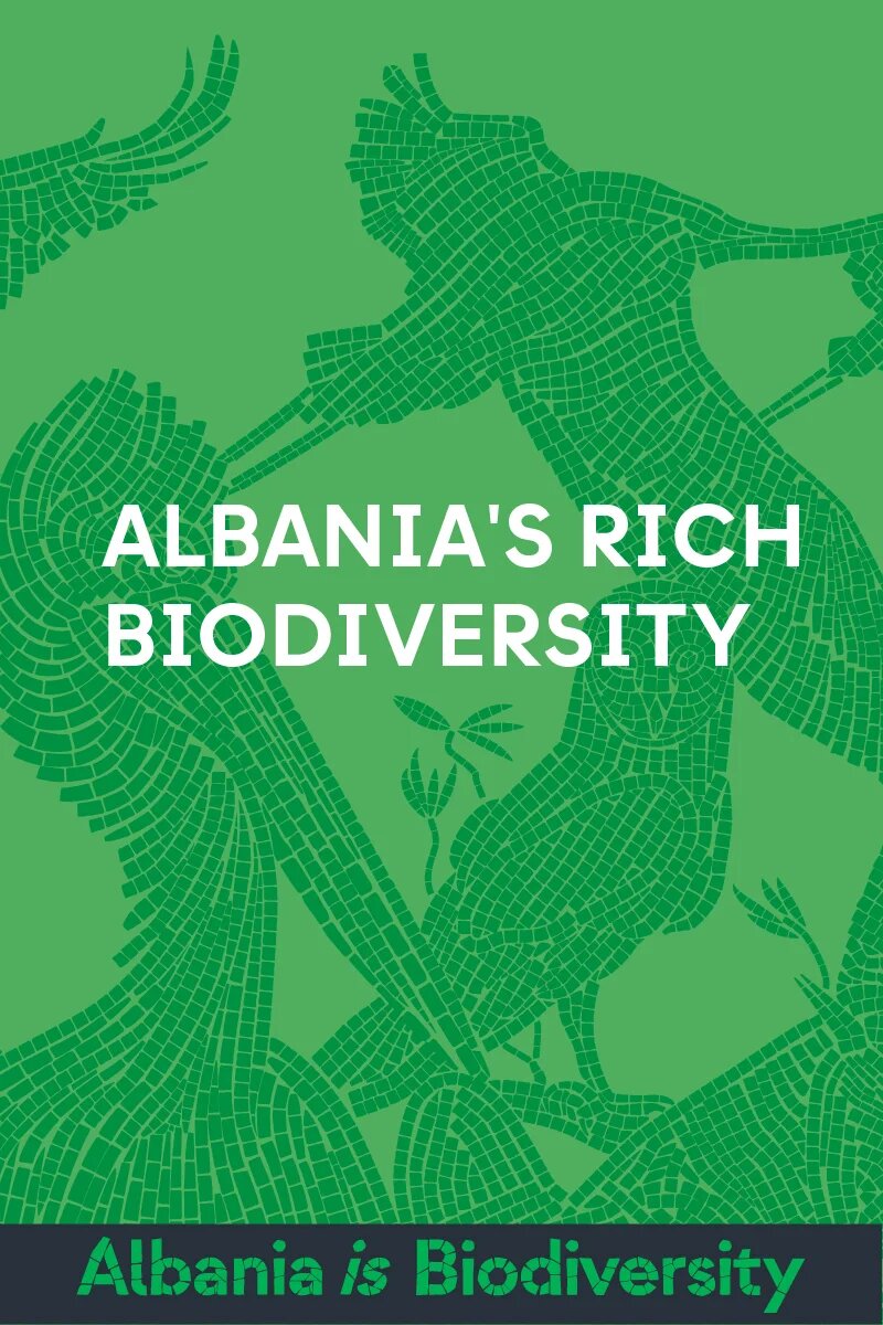 AiB Rich Biodiversity