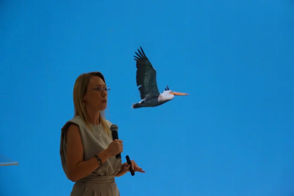 Jovana Janjušević during her presentation