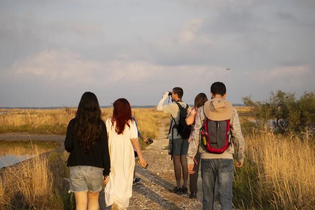 Birdwatching, Narta Lagoon, Albania