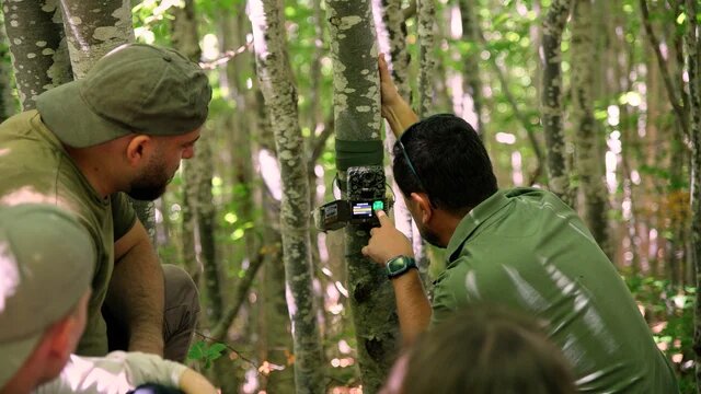Monitoring work, Shebenik Albania