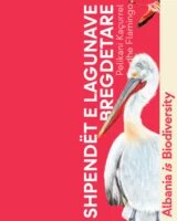 Birds of Wetlands Leaflet Cover AL