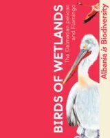 Birds of Wetlands Leaflet Cover EN